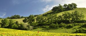 Preview wallpaper landscape, hills, trees, field, ears of corn, nature