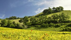 Preview wallpaper landscape, hills, trees, field, ears of corn, nature