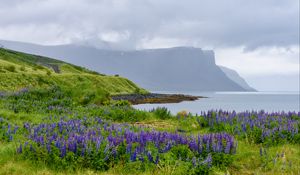 Preview wallpaper landscape, lake, flowers, meadow, grass, mountains