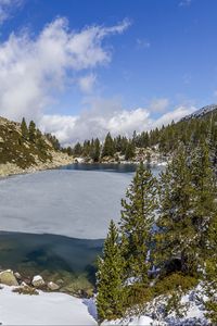 Preview wallpaper landscape, lake, trees, snow, winter