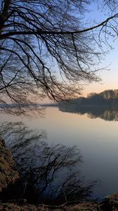 Preview wallpaper landscape, lake, trees, coast, reflection, evening, fog, silence, bushes