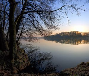 Preview wallpaper landscape, lake, trees, coast, reflection, evening, fog, silence, bushes