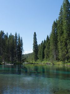 Preview wallpaper landscape, lake, trees, nature