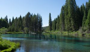 Preview wallpaper landscape, lake, trees, nature