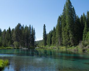 Preview wallpaper landscape, lake, trees, nature