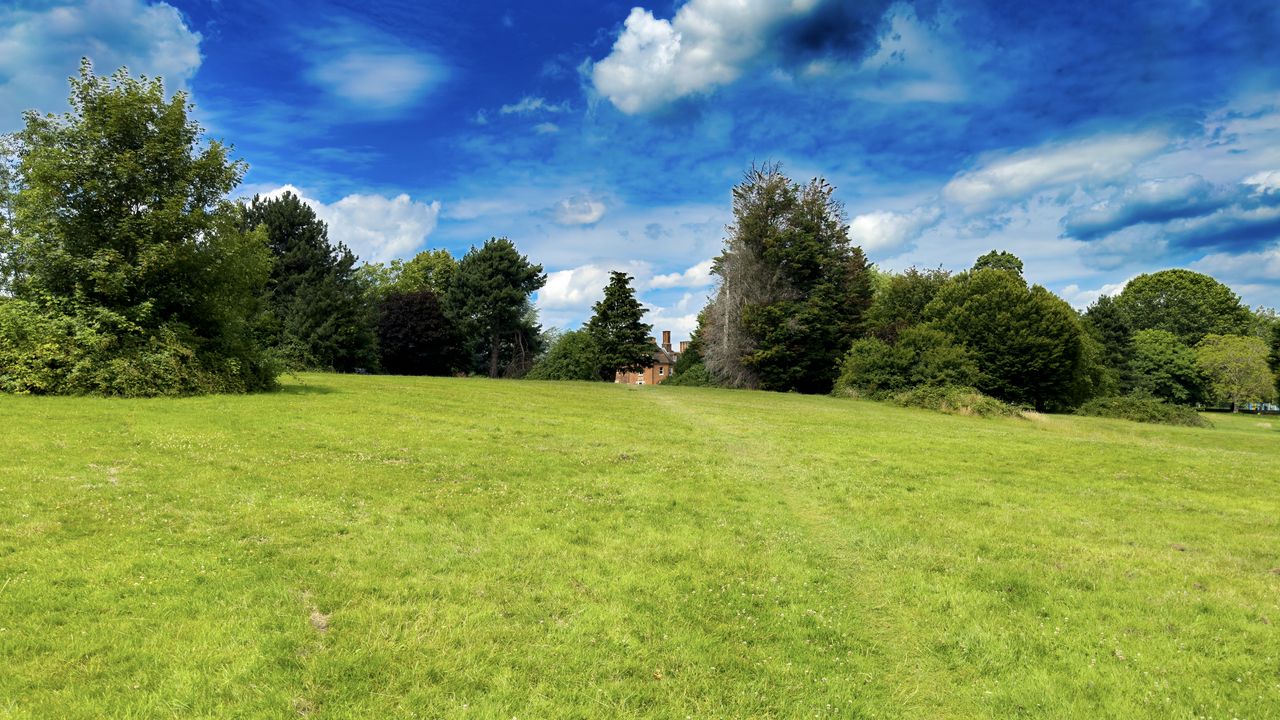 Wallpaper landscape, meadow, grass, trees, houses, nature