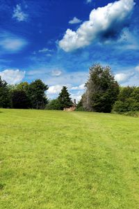 Preview wallpaper landscape, meadow, grass, trees, houses, nature