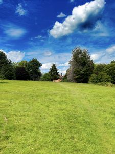 Preview wallpaper landscape, meadow, grass, trees, houses, nature