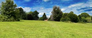 Preview wallpaper landscape, meadow, grass, trees, houses, nature