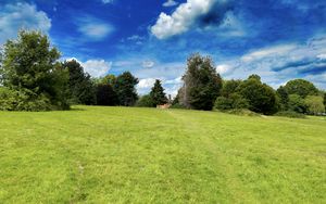 Preview wallpaper landscape, meadow, grass, trees, houses, nature