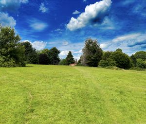 Preview wallpaper landscape, meadow, grass, trees, houses, nature