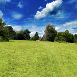 Preview wallpaper landscape, meadow, grass, trees, houses, nature