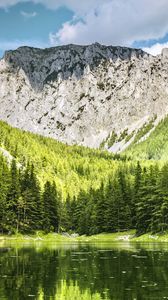 Preview wallpaper landscape, mountain, forest, trees, lake, nature