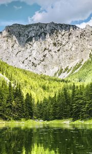 Preview wallpaper landscape, mountain, forest, trees, lake, nature