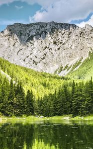 Preview wallpaper landscape, mountain, forest, trees, lake, nature