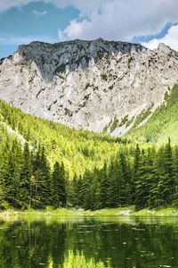 Preview wallpaper landscape, mountain, forest, trees, lake, nature