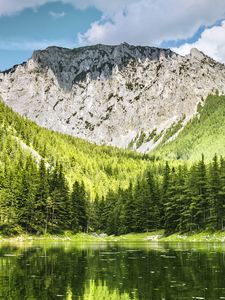 Preview wallpaper landscape, mountain, forest, trees, lake, nature