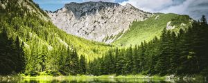 Preview wallpaper landscape, mountain, forest, trees, lake, nature