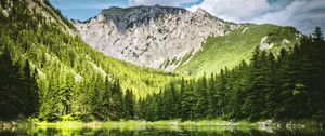 Preview wallpaper landscape, mountain, forest, trees, lake, nature