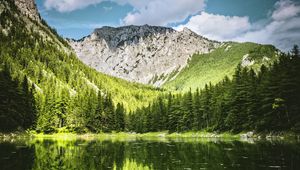 Preview wallpaper landscape, mountain, forest, trees, lake, nature