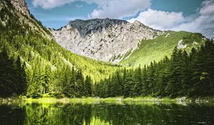 Preview wallpaper landscape, mountain, forest, trees, lake, nature