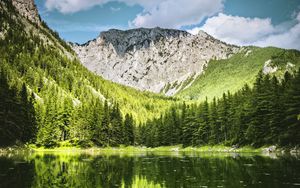 Preview wallpaper landscape, mountain, forest, trees, lake, nature