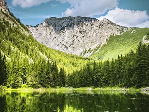 Preview wallpaper landscape, mountain, forest, trees, lake, nature