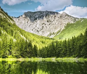 Preview wallpaper landscape, mountain, forest, trees, lake, nature