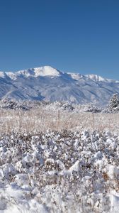Preview wallpaper landscape, mountains, field, snow, winter, trees, nature