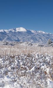 Preview wallpaper landscape, mountains, field, snow, winter, trees, nature