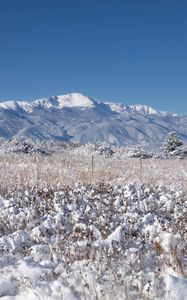 Preview wallpaper landscape, mountains, field, snow, winter, trees, nature