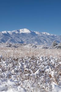 Preview wallpaper landscape, mountains, field, snow, winter, trees, nature