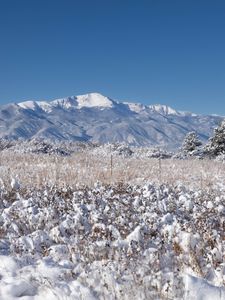 Preview wallpaper landscape, mountains, field, snow, winter, trees, nature