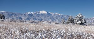 Preview wallpaper landscape, mountains, field, snow, winter, trees, nature