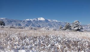 Preview wallpaper landscape, mountains, field, snow, winter, trees, nature