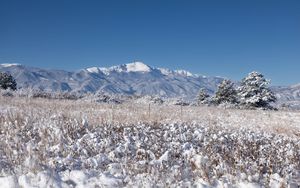 Preview wallpaper landscape, mountains, field, snow, winter, trees, nature