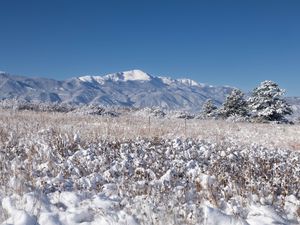 Preview wallpaper landscape, mountains, field, snow, winter, trees, nature