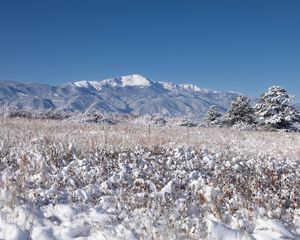 Preview wallpaper landscape, mountains, field, snow, winter, trees, nature