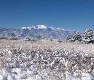 Preview wallpaper landscape, mountains, field, snow, winter, trees, nature