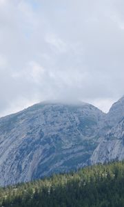 Preview wallpaper landscape, mountains, fog, clouds, trees, slope