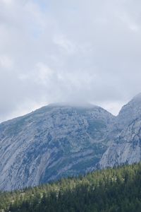 Preview wallpaper landscape, mountains, fog, clouds, trees, slope