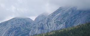 Preview wallpaper landscape, mountains, fog, clouds, trees, slope