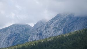 Preview wallpaper landscape, mountains, fog, clouds, trees, slope