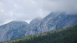 Preview wallpaper landscape, mountains, fog, clouds, trees, slope