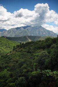 Preview wallpaper landscape, mountains, forest, trees, nature, clouds