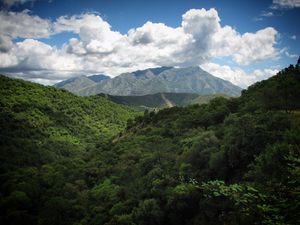 Preview wallpaper landscape, mountains, forest, trees, nature, clouds