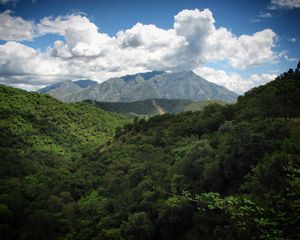 Preview wallpaper landscape, mountains, forest, trees, nature, clouds