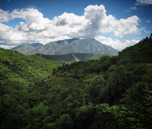 Preview wallpaper landscape, mountains, forest, trees, nature, clouds