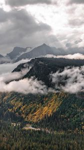 Preview wallpaper landscape, mountains, forest, trees, clouds, nature