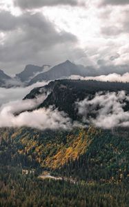 Preview wallpaper landscape, mountains, forest, trees, clouds, nature